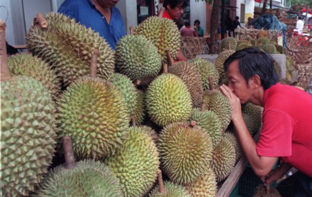 f-durian-a-20171011-870x551